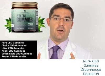 How Is Pure CBD Gummies Different From Jibe CBD Gummies